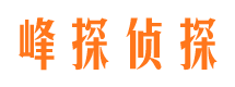 平山寻人公司